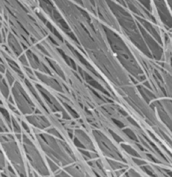 Imagen: Las nanofibras altamente alineadas, hechas con fibroblastos, forman una estructura biológica que podría ser una base ideal para la ingeniería de tejidos. Las células madre colocadas en esa estructura crecieron muy bien, con la ventaja adicional de que provocaron una respuesta inmune muy baja (Fotografía cortesía del Dr. Feng Zhao, de la Universidad Tecnológica de Michigan).