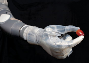 Imagen: El brazo DEKA sosteniendo una uva (Fotografía cortesía de DARPA- Agencia de proyectos de Investigación Avanzada de la Defensa).