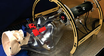 Imagen: Un modelo de un paciente en una máquina de resonancia magnética (Fotografía de David Comber, Universidad de Vanderbilt).