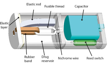 Imagen: La cápsula inteligente de liberación de fármacos (Fotografía cortesía de Babak Ziaie/Universidad de Purdue).