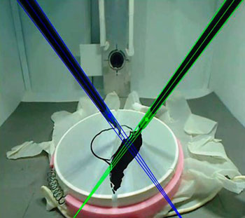 Imagen: El seguimiento de los instrumentos, con base en el análisis del video de la endoscopia (Fotografía cortesía de la UPM).