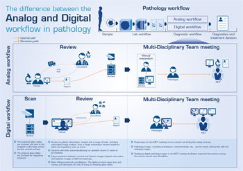 Imagen: Un gráfico que muestra la diferencia entre los flujos de trabajo digital y análogo en Patología (Fotografía cortesía de Sectra). Imagen: Un gráfico que muestra la diferencia entre los flujos de trabajo digital y análogo en Patología (Fotografía cortesía de Sectra).