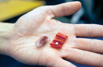 Imagen: La cápsula ingerible y el robot origami desplegado (Fotografía cortesía de Melanie Gonick/MIT).