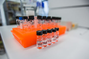 Imagen: El biochip de hidrogel que puede ayudar a detectar el cáncer de colon (Fotografía cortesía de MIPT.)