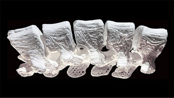 Imagen: Un corte impreso en 3D de una columna vertebral humana adulta (Fotografía cortesía de Adam Jakus/NU).