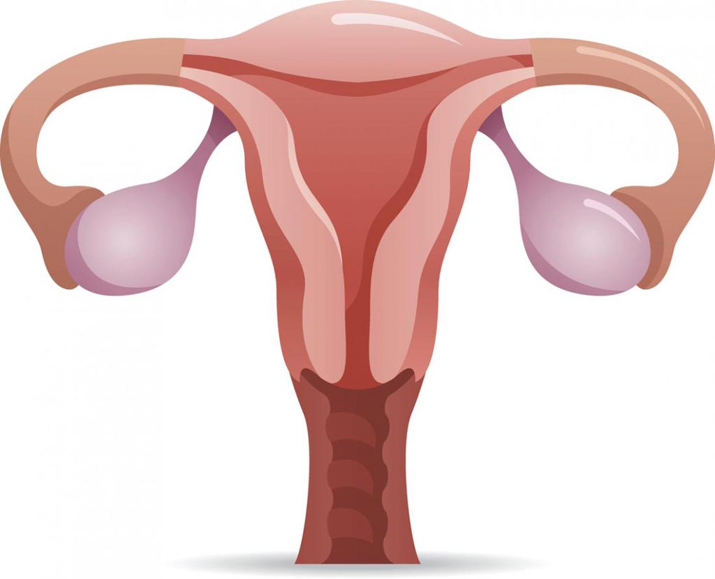 Imagen: Un nuevo estudio sugiere que una antigua técnica de imagenología puede dar  esperanza como tratamiento para la infertilidad (Fotografía cortesía de MNT).
