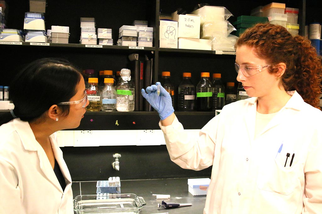 Imagen: La profesora asociada Julie Liu (I) y la estudiante de doctorado, Sydney Hollingshead se preparan para ensayar el nuevo adhesivo a base de proteínas (Fotografía cortesía de Erin Easterling/Purdue).