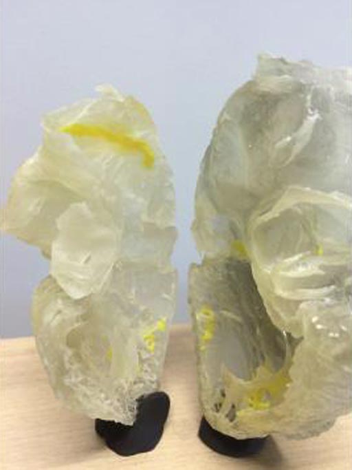 Imagen: Un corazón plástico impreso en 3D destaca el sistema de conducción del corazón humano (Fotografía cortesía de la Universidad de Manchester). Imagen: Un corazón plástico impreso en 3D destaca el sistema de conducción del corazón humano (Fotografía cortesía de la Universidad de Manchester).