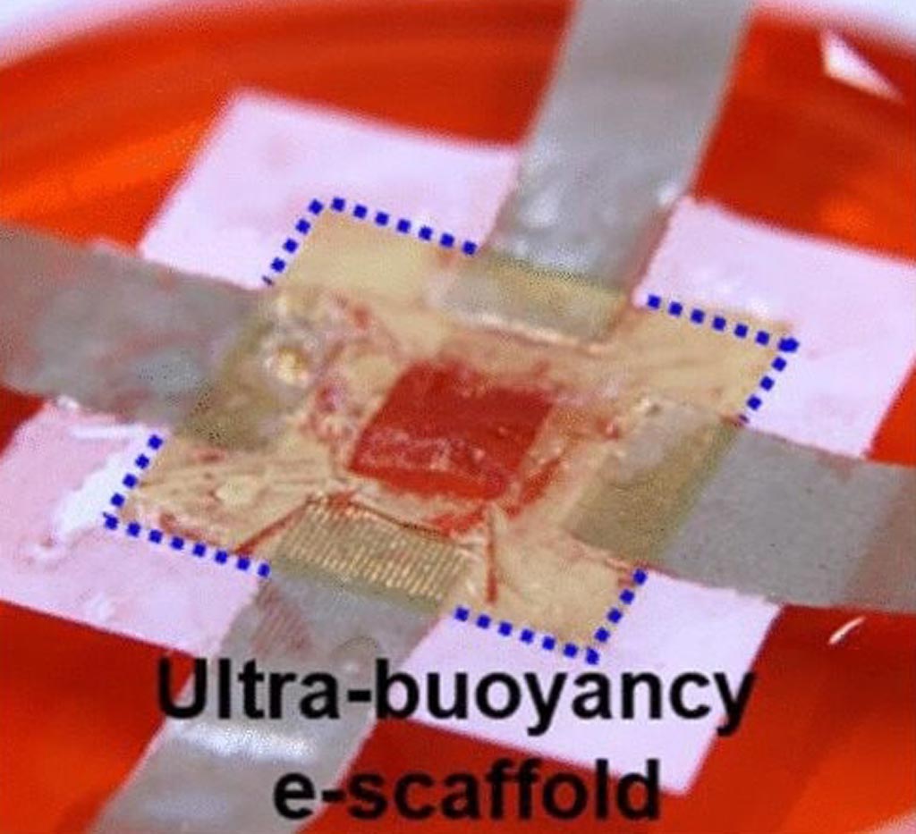 Imagen: Un andamio flotante en 3D que proporciona un seguimiento eficiente de la ingeniería de tejidos (Fotografía cortesía de ACS Nano).