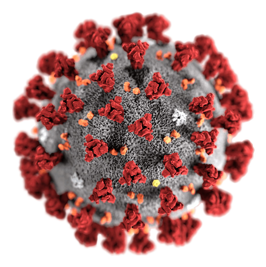 Imagen: Ilustración del virion del nuevo Coronavirus 2019 (nCoV) (Fotografía cortesía de Alissa Eckert, MS/CDC)
