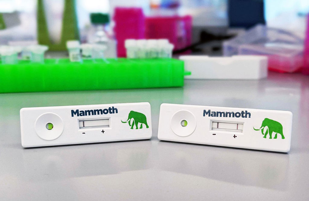 Imagen: Prueba de Covid basada en CRISPR de Mammoth (Foto cortesía de Mammoth Biosciences)