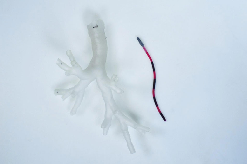 Imagen: Un robot lo suficientemente pequeño como para explorar los pulmones (Fotografía cortesía de la Universidad Estatal de Arizona)