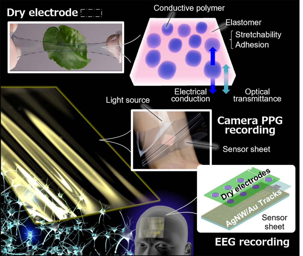 Imagen: Imagen de bioelectrodo de tipo seco y hoja de sensor de película delgada (Fotografía cortesía de la Universidad de Osaka)