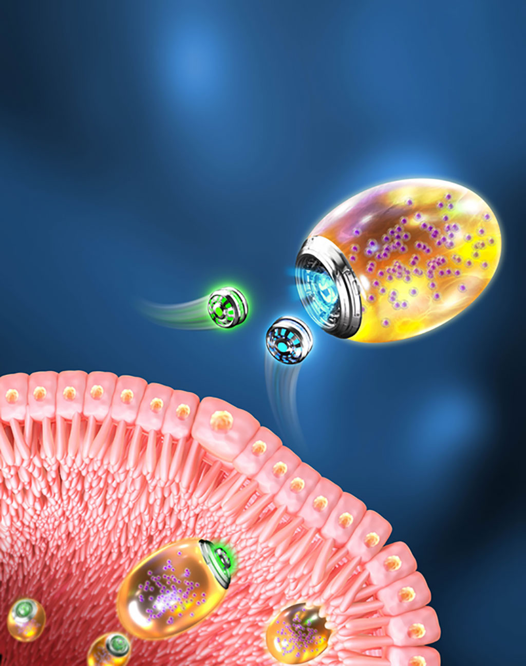 Imagen: Micro/nanorobots autoadaptativos de de doble biomotor desarrollado para la terapia para la inflamación gastrointestinal (Fotografía cortesía de SIAT)