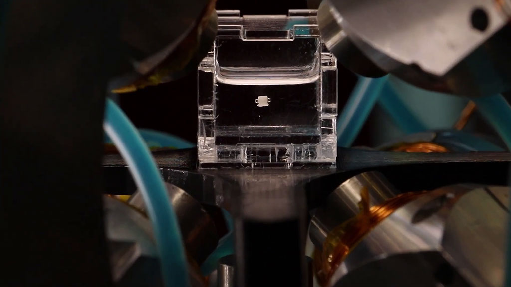 Imagen: Los científicos han logrado un avance en microrobotics magnéticos colaborativos (Fotografía cortesía de la Universidad de Twente)
