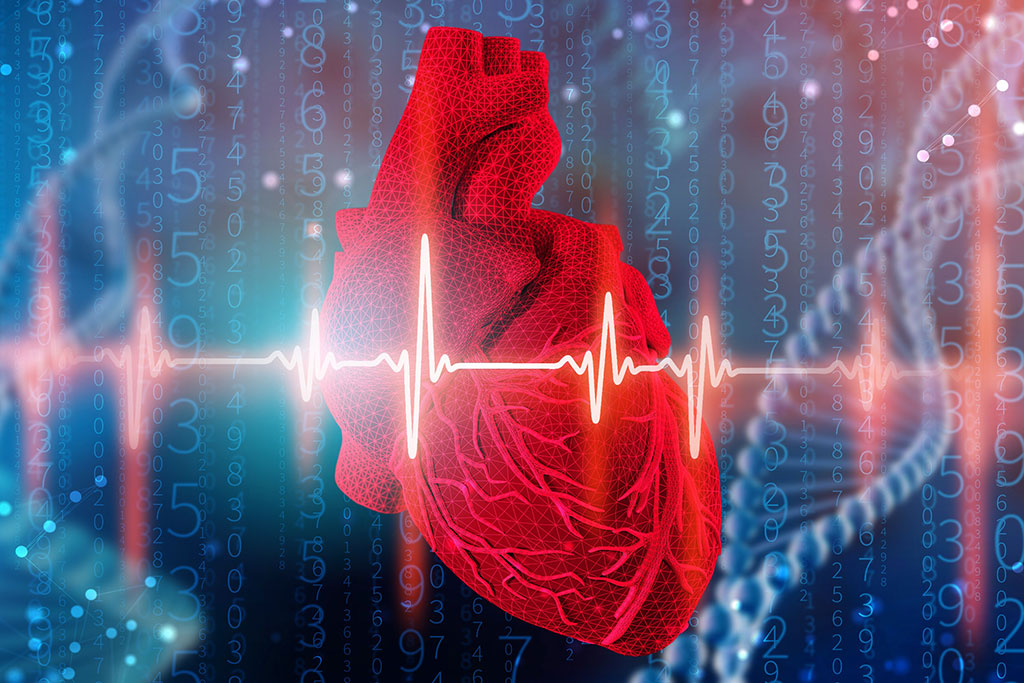 Imagen: Un nuevo estudio sugiere que ECG-IA puede detectar riesgos de enfermedades cardiovasculares antes (Fotografía cortesía de 123RF)