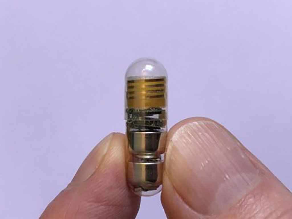 Imagen: La VM Pill se muestra en una cápsula de gel transparente para facilitar la visualización de componentes internos (Fotografía cortesía de Ben Pless)