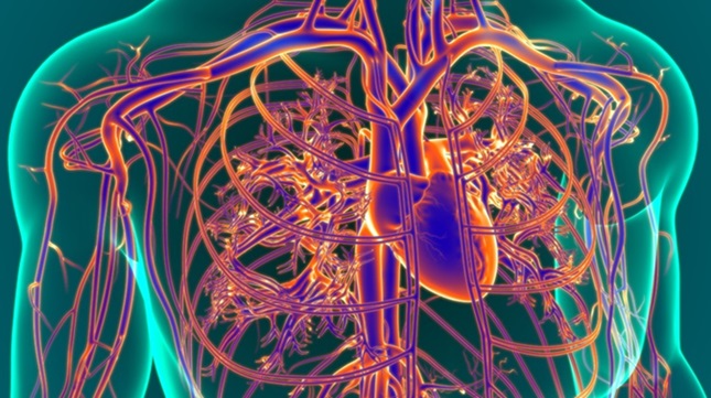 Imagen: El epiNanopaint podría ahorrar a los pacientes en diálisis y cardíacos la necesidad de cirugías repetidas (Fotografía cortesía de 123RF)