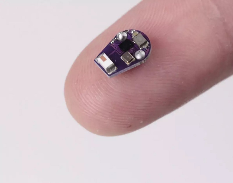 Imagen: El sensor de temperatura implantable miniaturizado en el dedo (Fotografía cortesía de la Universidad Northwestern)