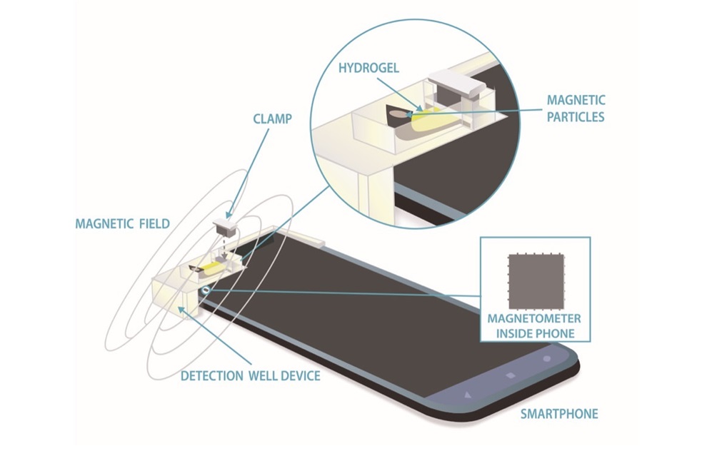Imagen: El magnetómetro del teléfono inteligente puede medir una gran cantidad de propiedades biomédicas en muestras de líquido utilizando un hidrogel magnetizado (foto cortesía de NIST)