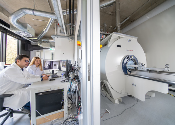 Imagen: El polvo de diamante ofrece una alternativa potencial al agente de contraste ampliamente utilizado gadolinium en RM(Foto cortesía del Instituto Max Planck)