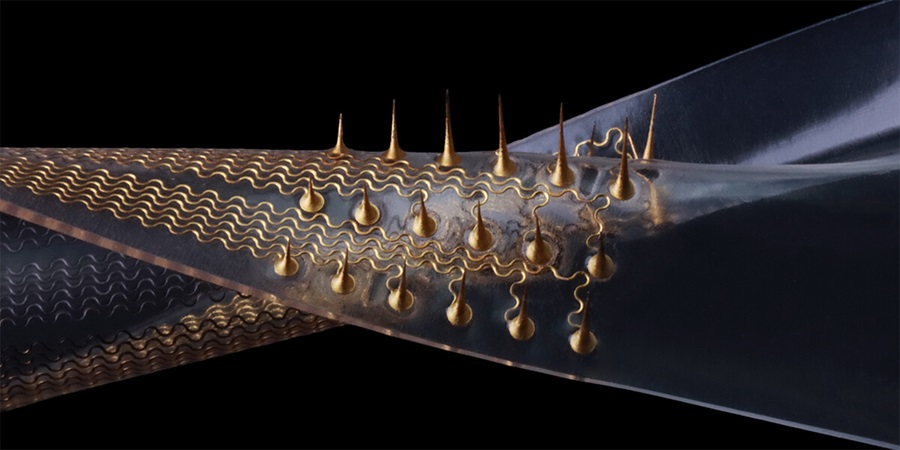 Imagen: Las matrices de electrodo de microaguos estirables (foto cortesía de Zhao Research Group)