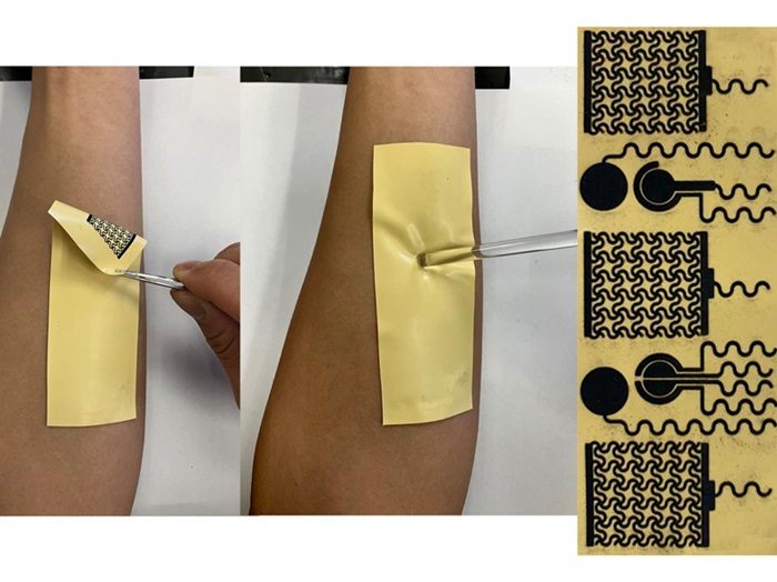 Imagen: El dispositivo de detección adhesiva se adhiere a la piel humana para detectar y monitorear la salud del usuario (foto cortesía de Jia Zhu/Penn State)