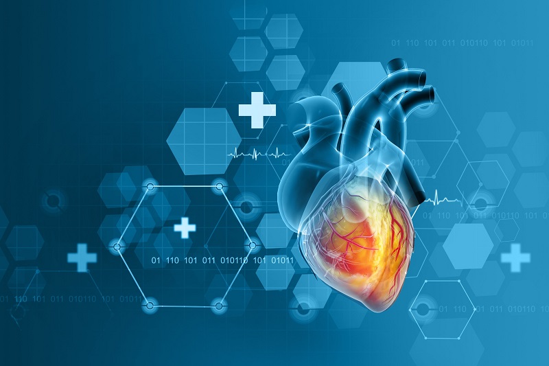 Imagen: un nuevo sistema de puntaje puede detectar mejor y tratar a los pacientes con insuficiencia cardíaca de HFPEF (foto cortesía de 123RF)