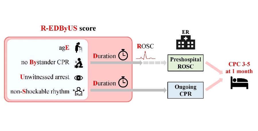 Imagen: El nuevo modelo de puntuación mejora la predicción del pronóstico temprano utilizando únicamente datos de reanimación prehospitalaria (foto cortesía de Takenobu Shimada, Universidad Metropolitana de Osaka)