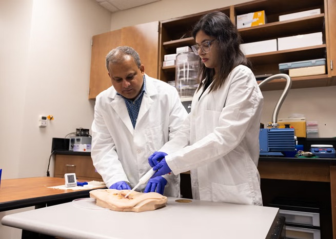 Imagen: El vendaje hemostático esponjoso conocido como SilFoam actúa rápidamente para detener la hemorragia (foto cortesía de Antoine Hart/UCF)