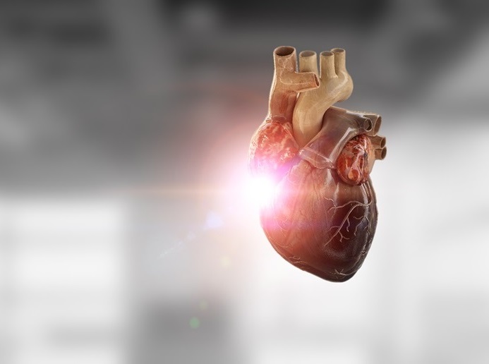 Imagen:El modelo de aprendizaje automático predice la miocardiopatía diabética de alto riesgo (foto cortesía de 123RF)