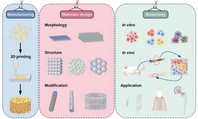 Imagen: Al optimizar el diseño del material durante la impresión 3D, se puede lograr una mejora de la bioactividad de los implantes óseos de tantalio poroso (pTa) (foto cortesía de Manyuan Wu, Mingchun Zhao, Ying Cai)