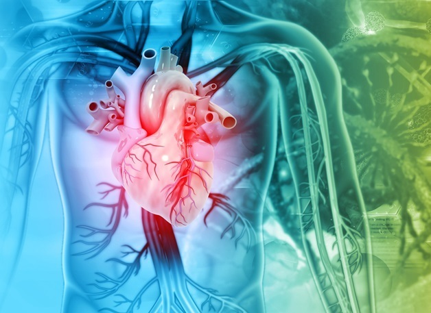 Imagen: El sistema DAVI inalámbrico y totalmente implantable podría reducir el riesgo de infecciones y complicaciones (foto cortesía de 123RF)