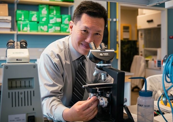 Imagen: El investigador Vincent Tam examina las bacterias para optimizar el uso clínico de antibióticos para combatirlas (Foto cortesía de UH College of Pharmacy)