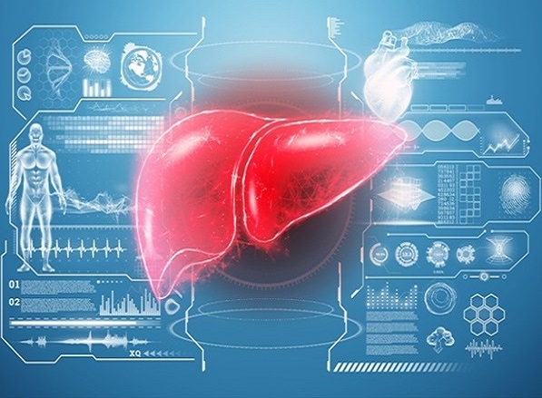Imagen: Los investigadores han desarrollado un puntaje de riesgo para el cáncer hepatocelular en adultos sin hepatitis viral o cirrosis (foto cortesía de 123RF)