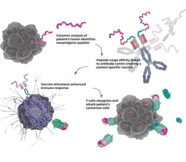 Imagen: Los investigadores han desarrollado un anticuerpo con el potencial de tratar varios tipos de cáncer (foto cortesía de la Universidad de Uppsala)