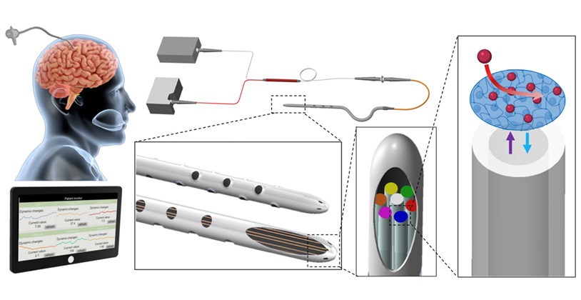 Imagen: Sistema de detección de fibra óptica totalmente automatizado y asistido por IA para la monitorización cerebral continua y multiplexada (foto cortesía de ACS Sens. 2024, DOI/10.1021/ACSSensors.4C02126#_i50)