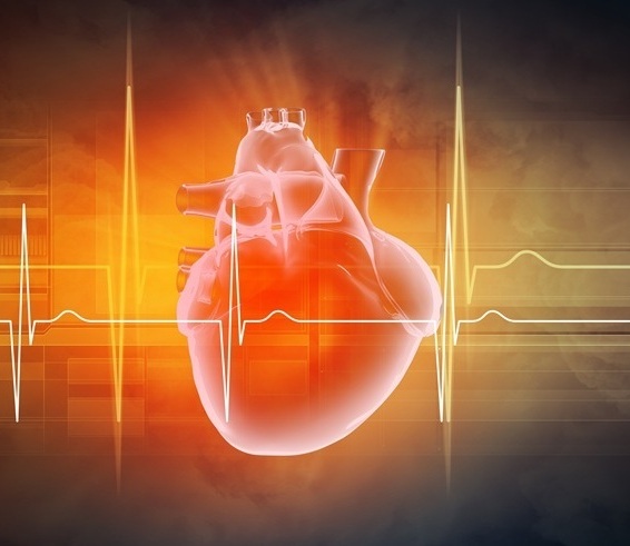 Imagen: Los gemelos digitales de corazón personalizados pueden detectar anomalías del sustrato en la taquicardia ventricular dependiente de cicatrices (Foto cortesía de 123RF)