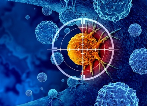 Imagen: El nuevo método para combatir el cáncer puede estimular la secreción de citocinas críticas en las células T Imagen: El nuevo método para combatir el cáncer puede estimular la secreción de citocinas críticas en las células T