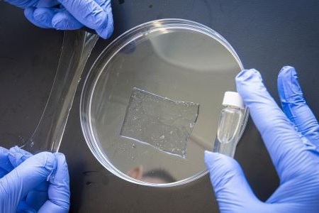 Imagen: el hidrogel elástico y un vial de polímero líquido (foto cortesía de WPI)