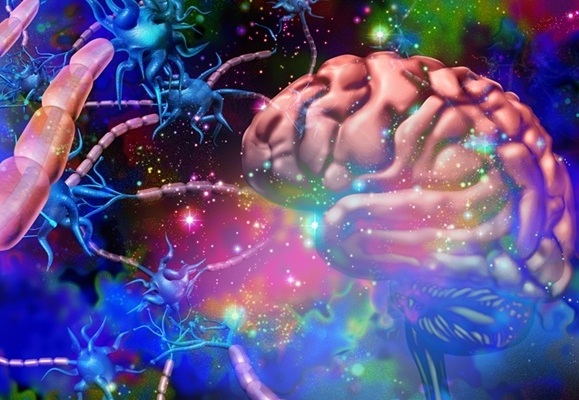 Herramienta de IA rastrea la eficacia de tratamientos para la esclerosis múltiple mediante RM cerebral Herramienta de IA rastrea la eficacia de tratamientos para la esclerosis múltiple mediante RM cerebral