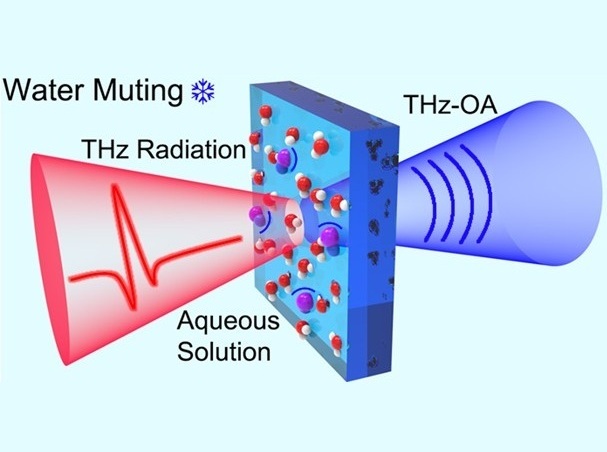 Imagen: el sistema de espectroscopia de terahercios OA permite la monitorización no invasiva a largo plazo de los niveles de sodio en sangre (foto cortesía de la Universidad Zhen Tian/Tianjin)