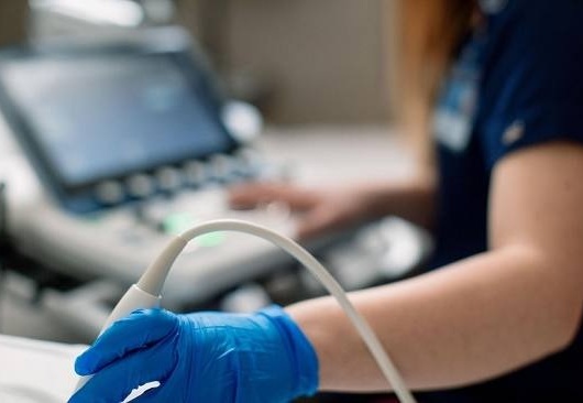 Imagen: un ecocardiograma realizado en el corazón (foto cortesía de Mayo Clinic)