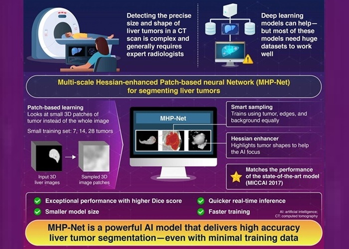 Imagen: un modelo de aprendizaje profundo basado en parches con un conjunto de datos de entrenamiento limitado para la segmentación de tumores hepáticos en TC con contraste (Yang et al. (2025), IEEE Access, 10.1109/Access.2025.3570728) Imagen: un modelo de aprendizaje profundo basado en parches con un conjunto de datos de entrenamiento limitado para la segmentación de tumores hepáticos en TC con contraste (Yang et al. (2025), IEEE Access, 10.1109/Access.2025.3570728)