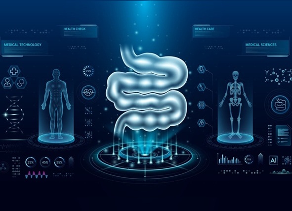 Imagen: las herramientas digitales basadas en IA pueden reducir significativamente las complicaciones y los reingresos después de la cirugía por cáncer colorrectal (foto cortesía de Shutterstock)