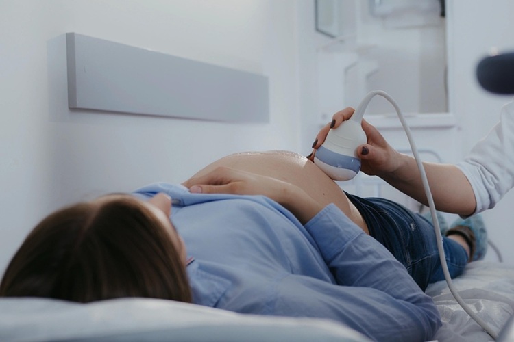 Imagen: la La insuficiencia cardíaca representa una gran parte de la morbilidad y la mortalidad maternas (Fotografía cortesía de 123RF)