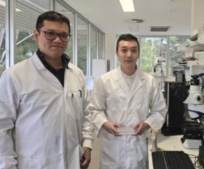 Imagen: el profesor asociado Vi-Khanh Truong y el Dr. Ngoc Huu Nguyen en el Laboratorio de Nanoingeniería Biomédica de la Universidad de Flinders (Fotografía cortesía de la Universidad de Flinders)