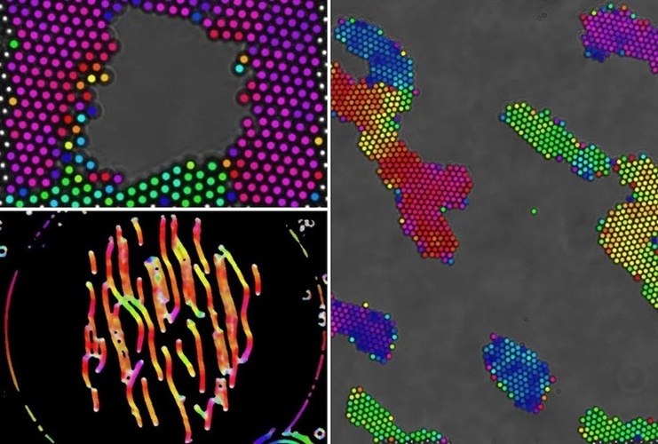 Imagen: Representaciones de partículas coloidales magnéticas a escala micrométrica (Foto cortesía de la Universidad Rice)