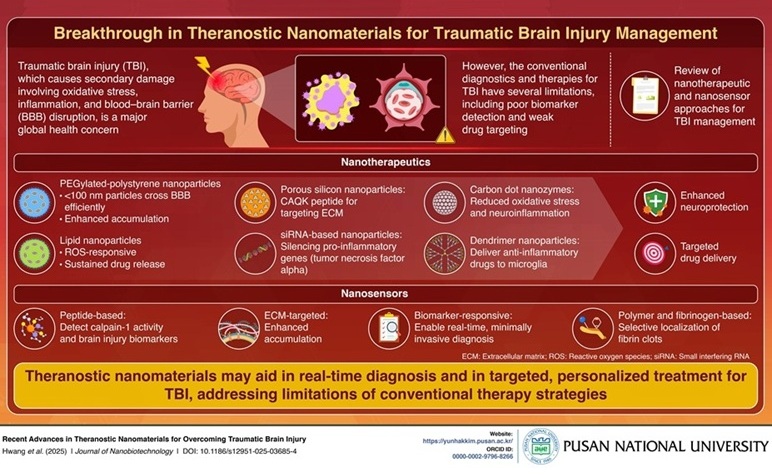 Imagen: los nanomateriales teranósticos son partículas diminutas que pueden diagnosticar y tratar las lesiones cerebrales traumáticas (Foto cortesía de Prof. Yun Hak Kim/Pusan National University)