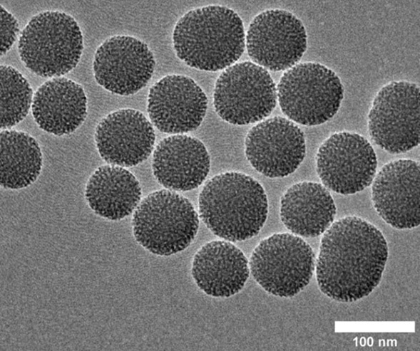 Imagen microscópica de las partículas sensibles al sonido creadas por los investigadores (Fotografía cortesía de Andrew Goodwin/CU Boulder)